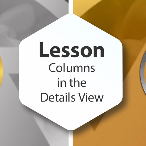 Lesson - Columns in the Details View