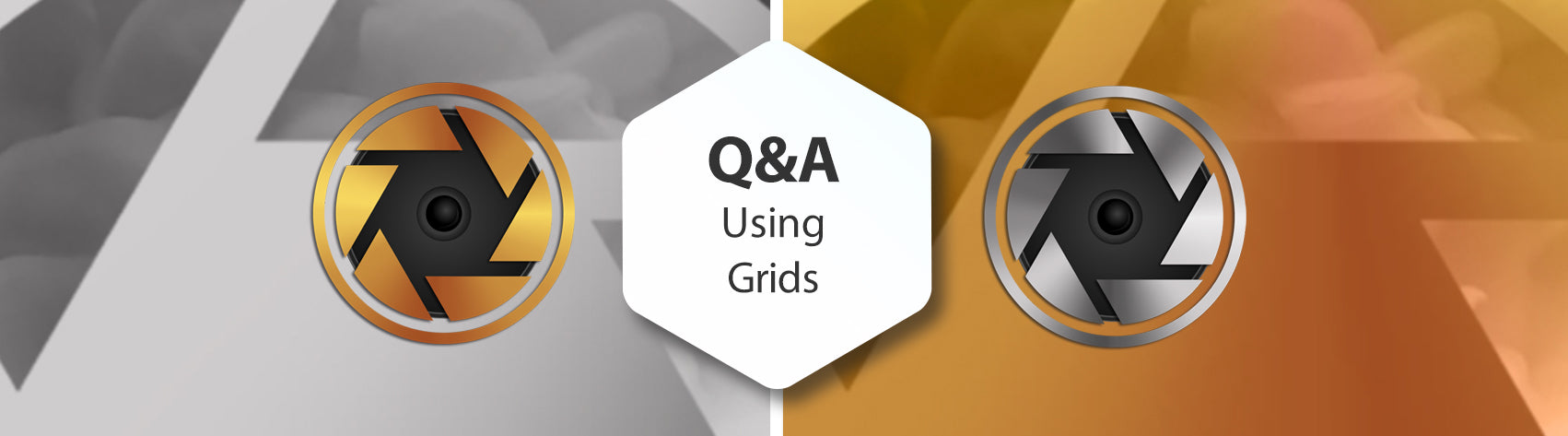 Q&A Using Grids