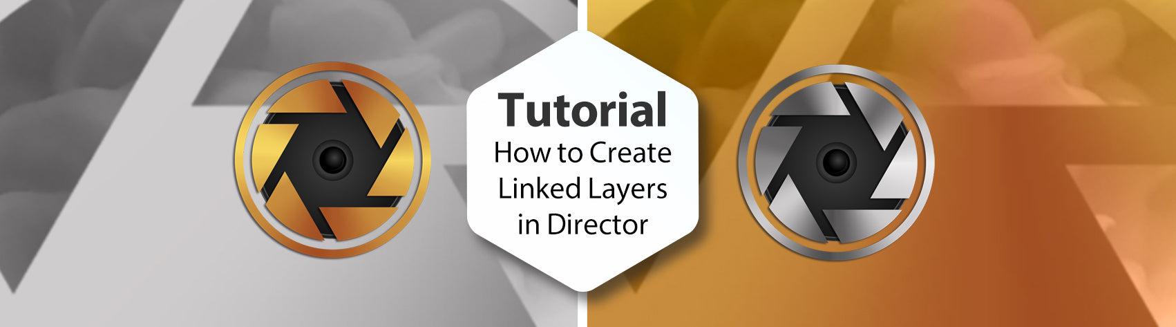 Tutorial - How to Create Linked Layers in Director