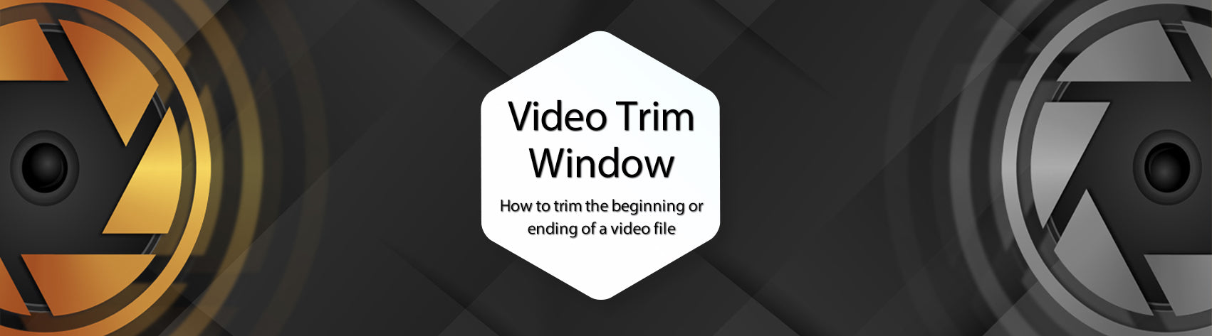 Tutorial - The Video Trim Window