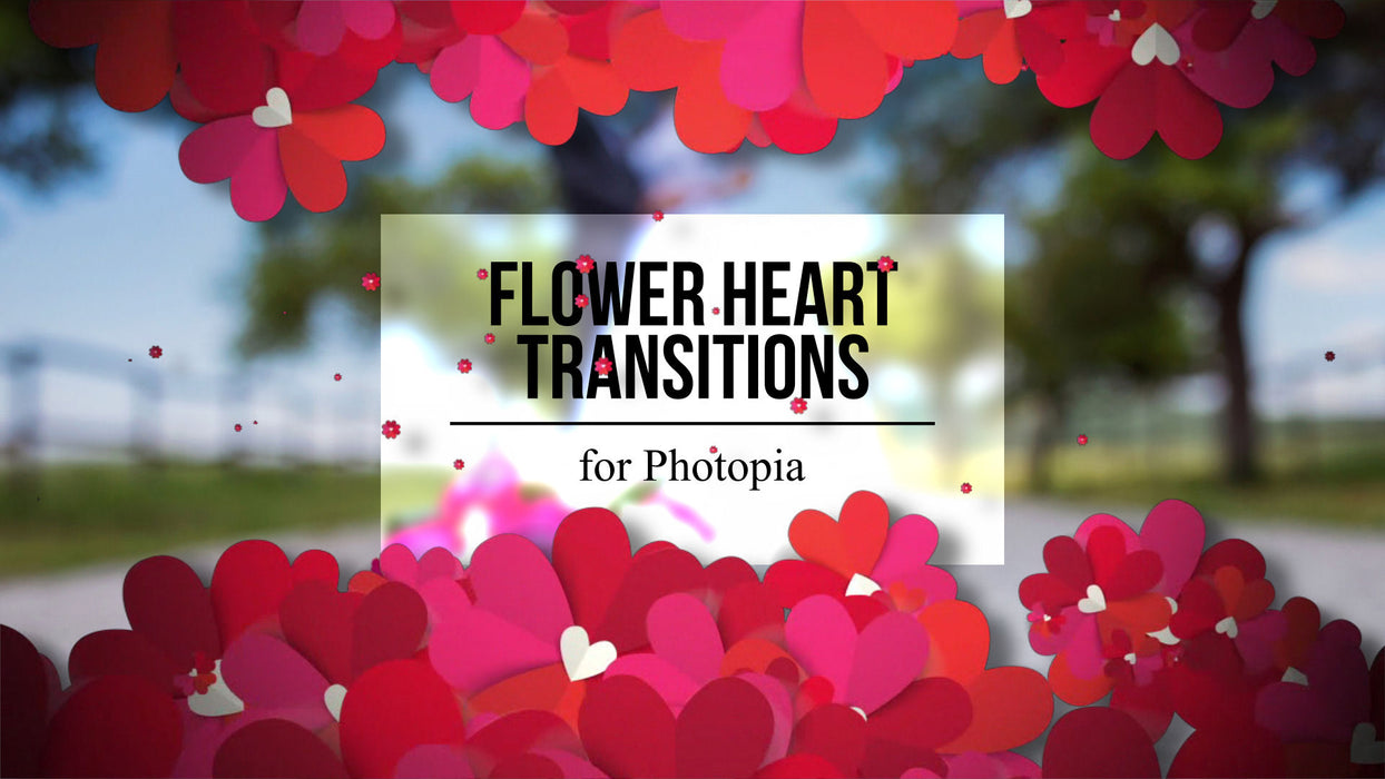 Flower Heart Transitions for Photopia