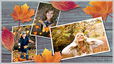 Colorful Leaves Style Pack
