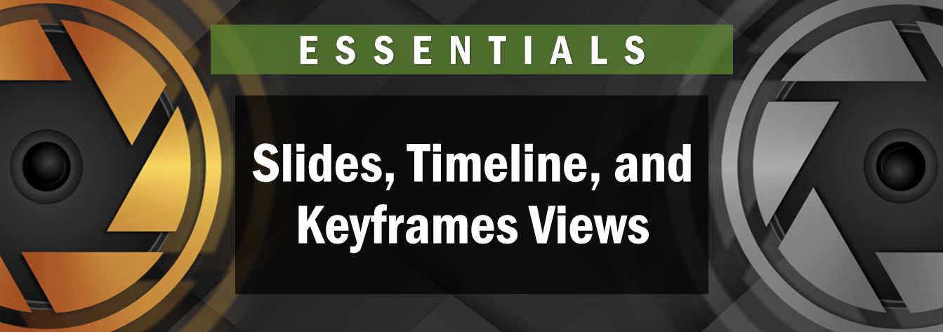 The Slides, Timeline, and Keyframes Views