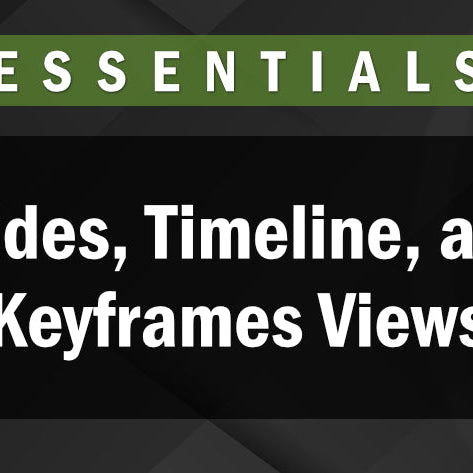 The Slides, Timeline, and Keyframes Views