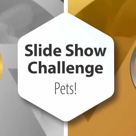 Slide Show Challenge - Pets!