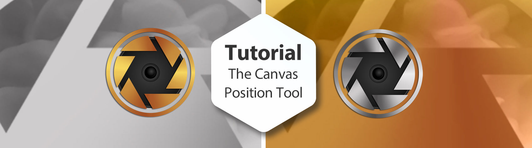 The Canvas Position Tool