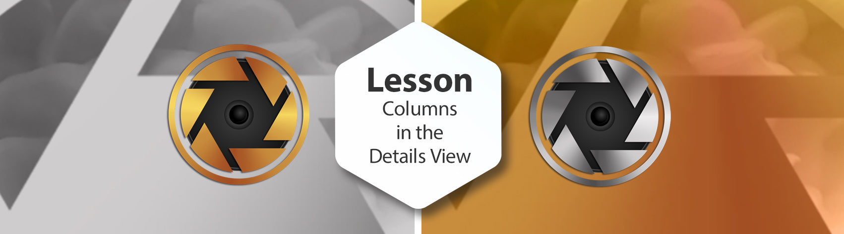 Lesson - Columns in the Details View
