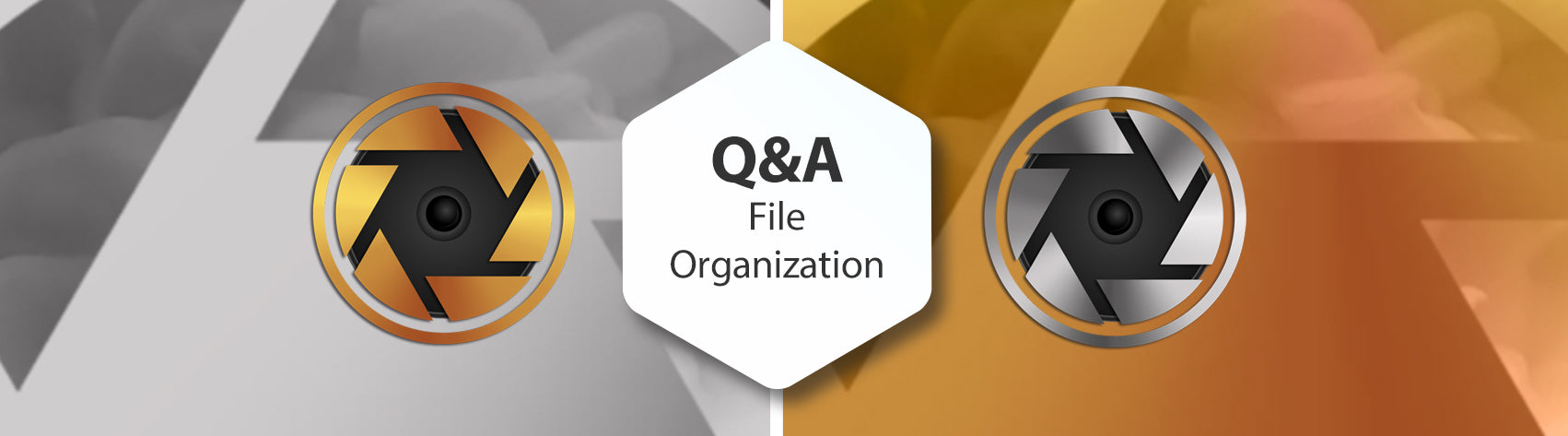 Q&A - File Organization