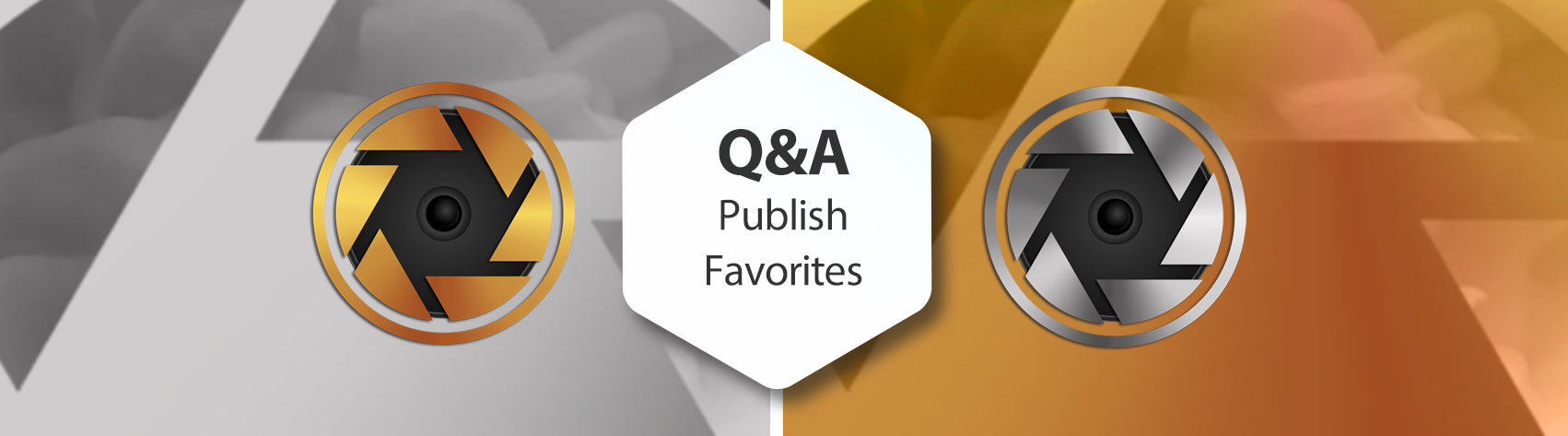 Q&A Publish Favorites