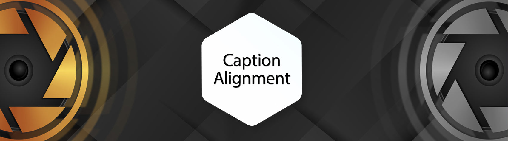 The Basics of Caption Alignment