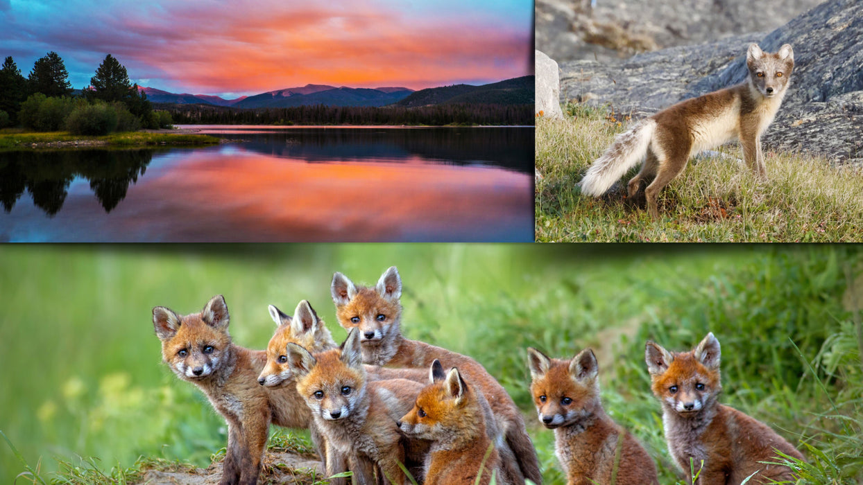 Shadow Life Template and Styles for Photopia