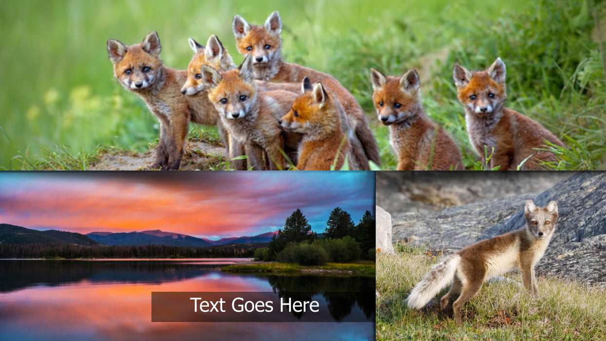 Shadow Life Template and Styles for Photopia