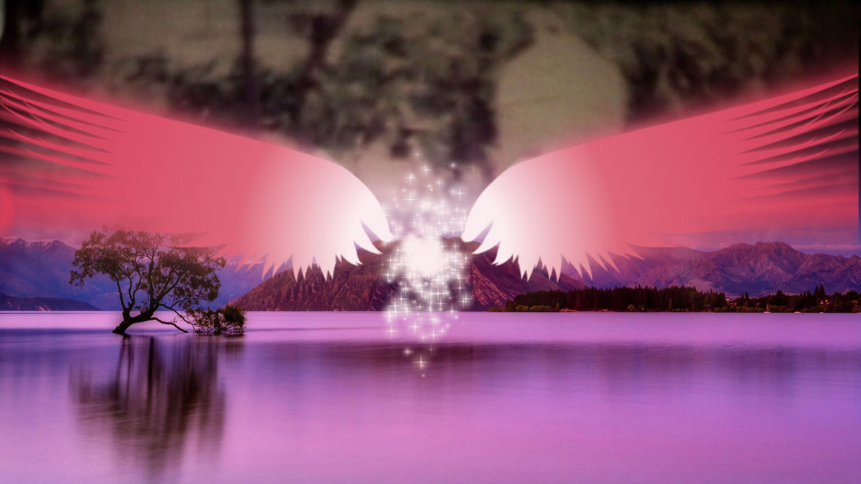 Angel Wings Transition for Photopia