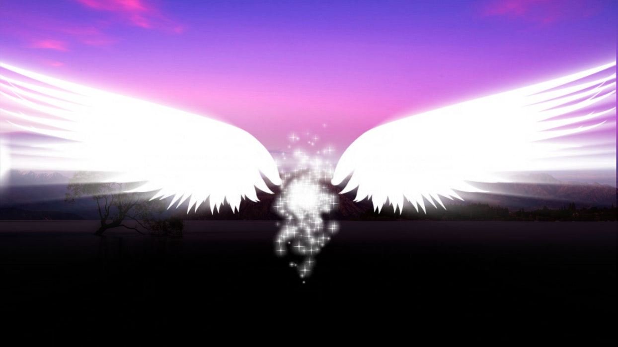 Angel Wings Transition for Photopia