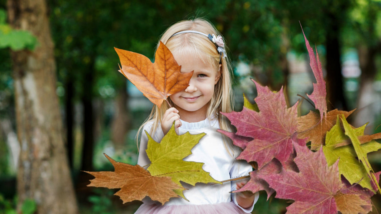 Blowing Leaves Transition for Photopia
