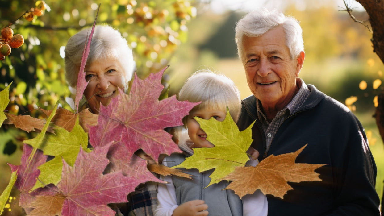 Blowing Leaves Transition for Photopia