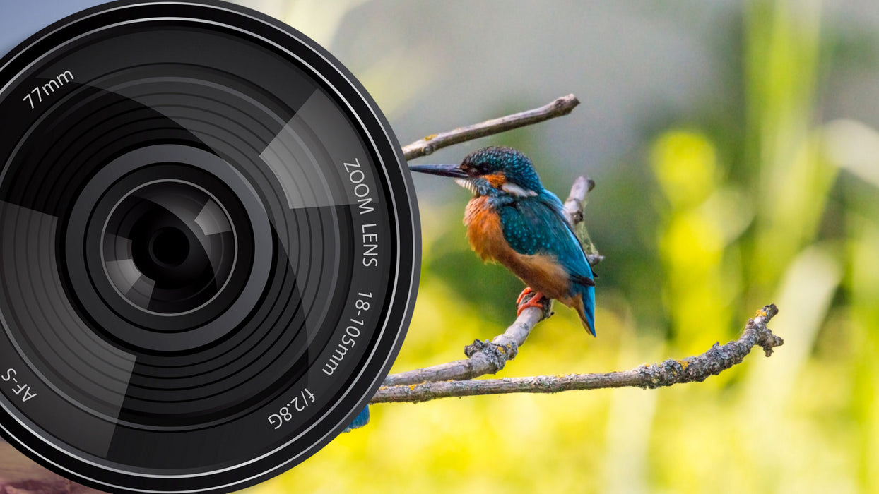 Camera Lens Wipe Transition for Photopia