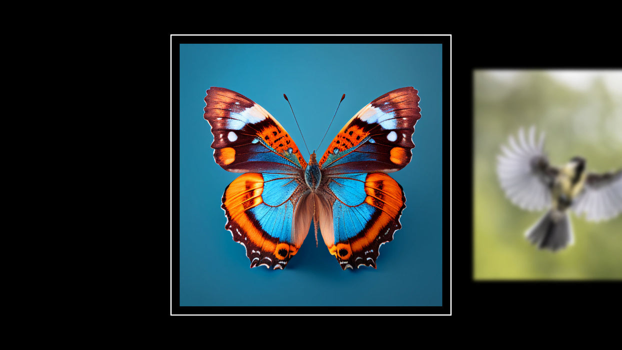 Carousel Templates and Effects