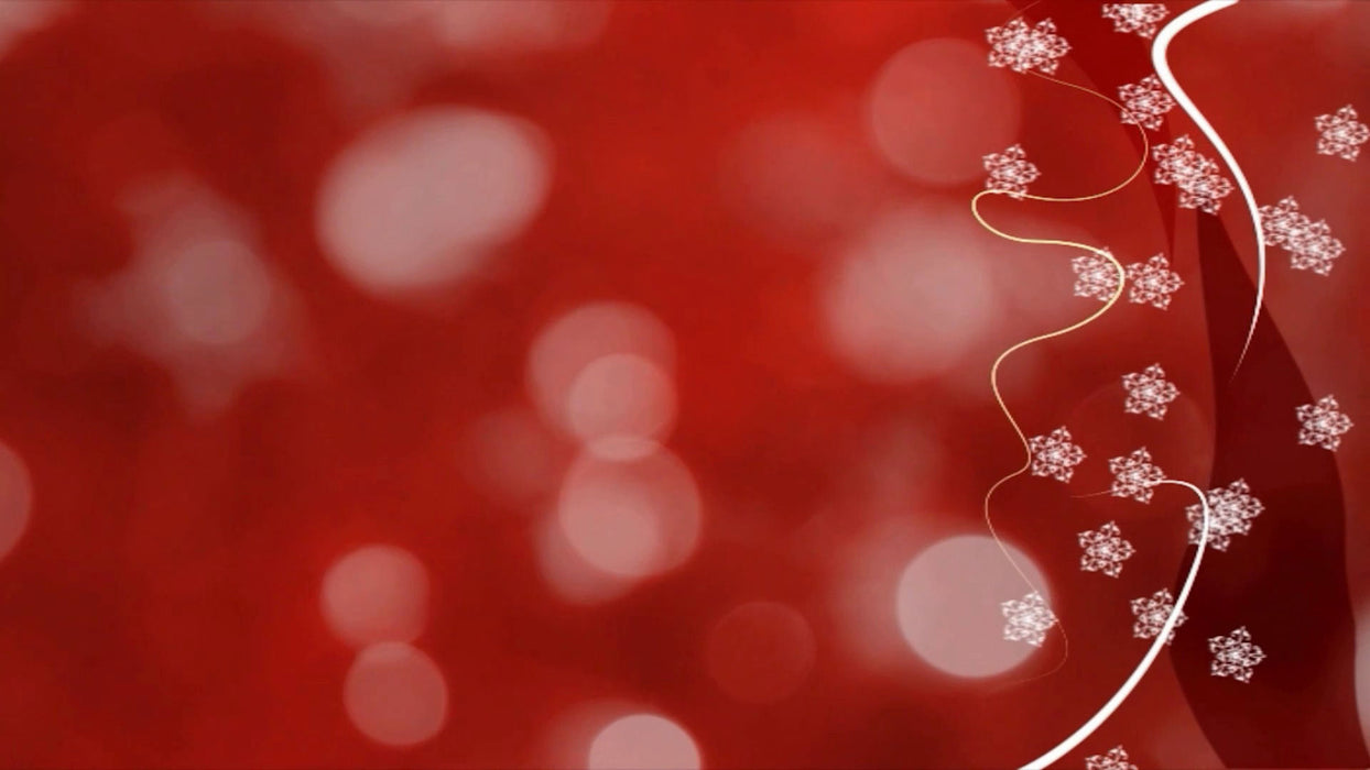 Christmas Holly Bundle for Photopia