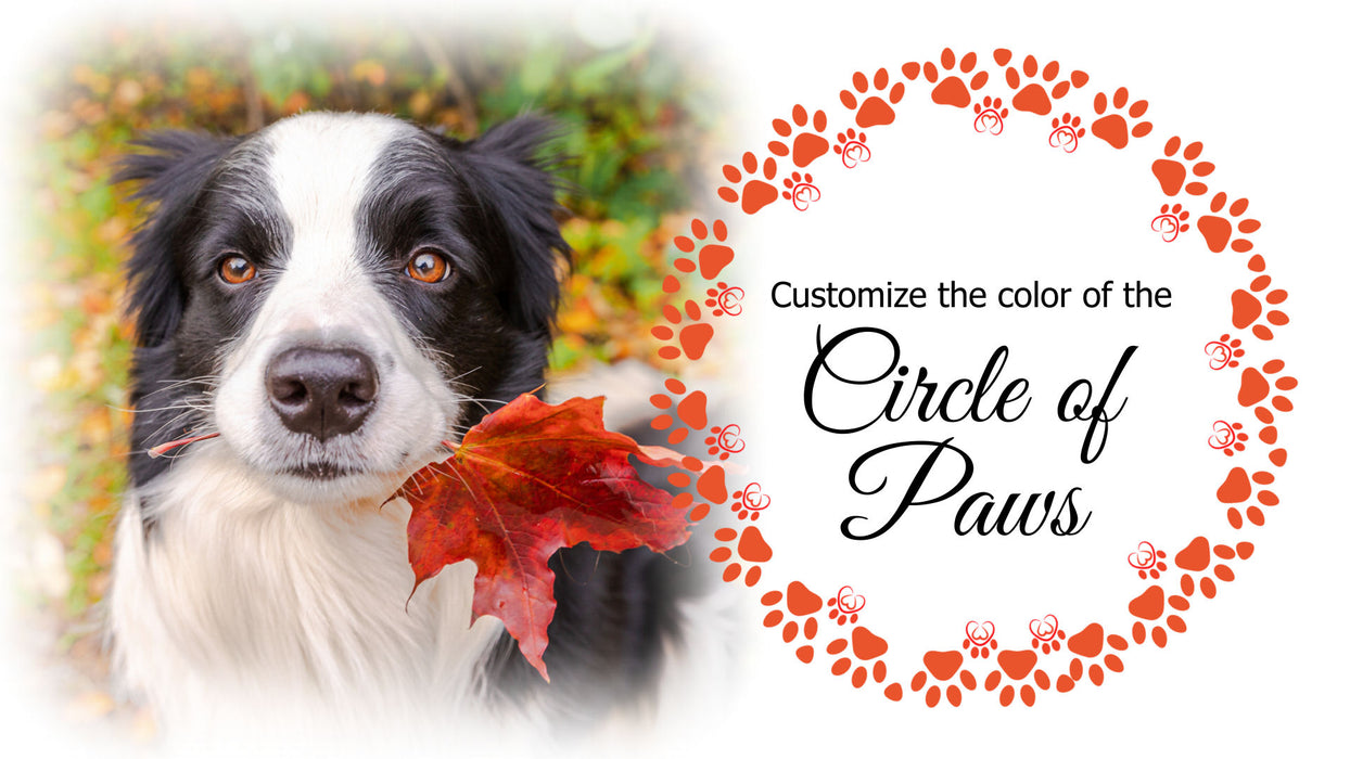 Circle of Paws