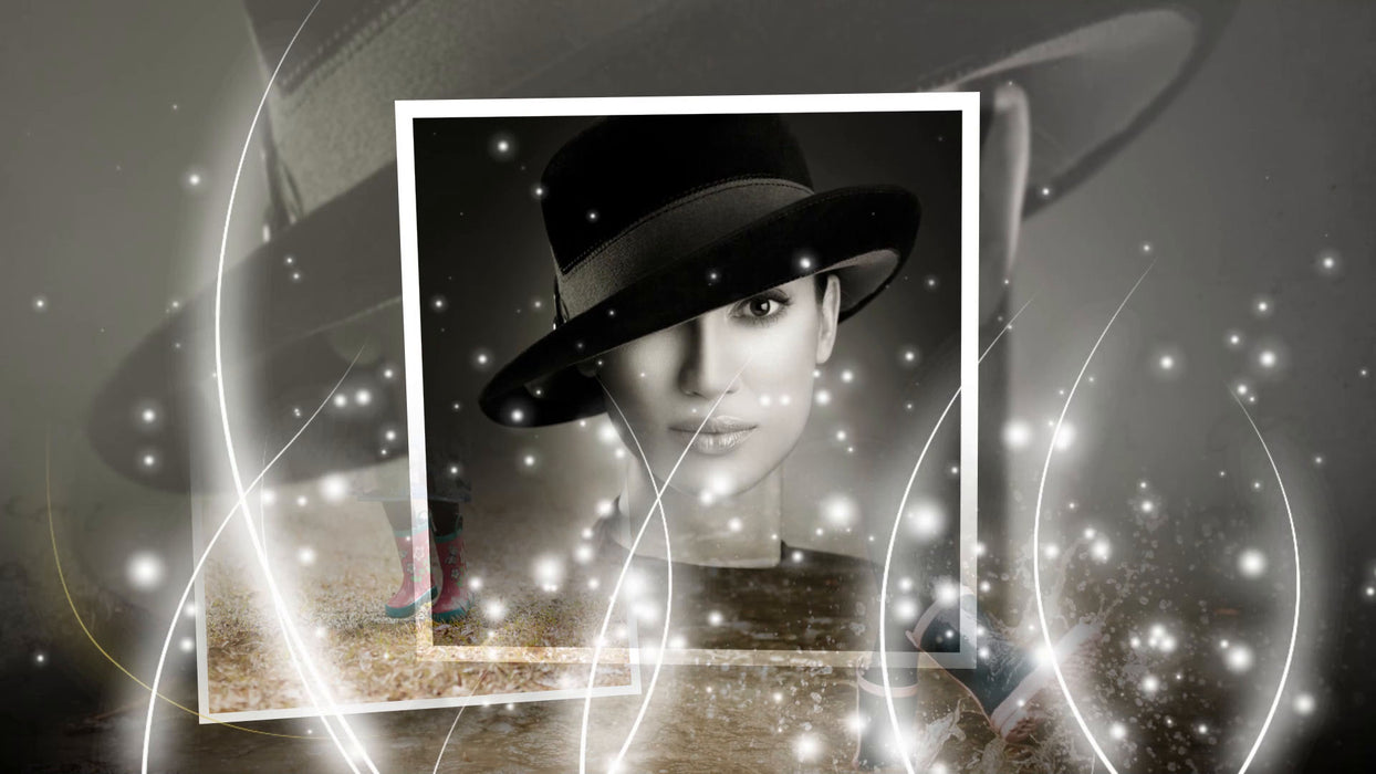 Clean Lines Styles and Transitions for Photopia