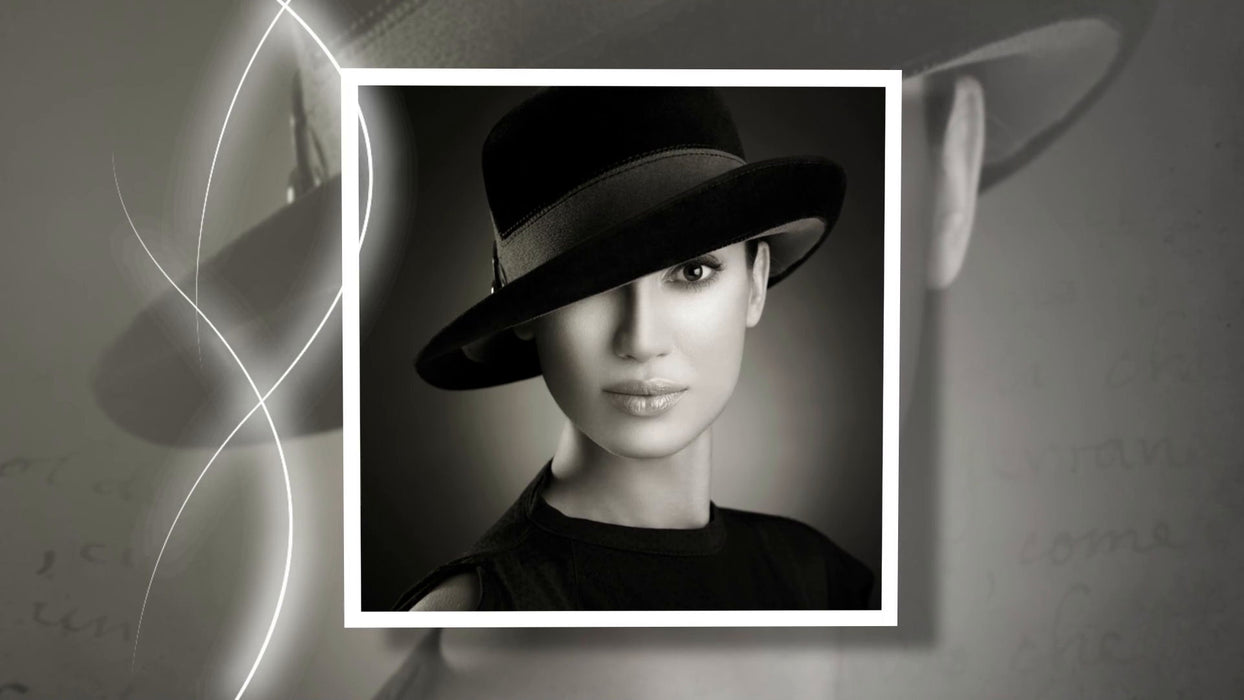 Clean Lines Styles and Transitions for Photopia