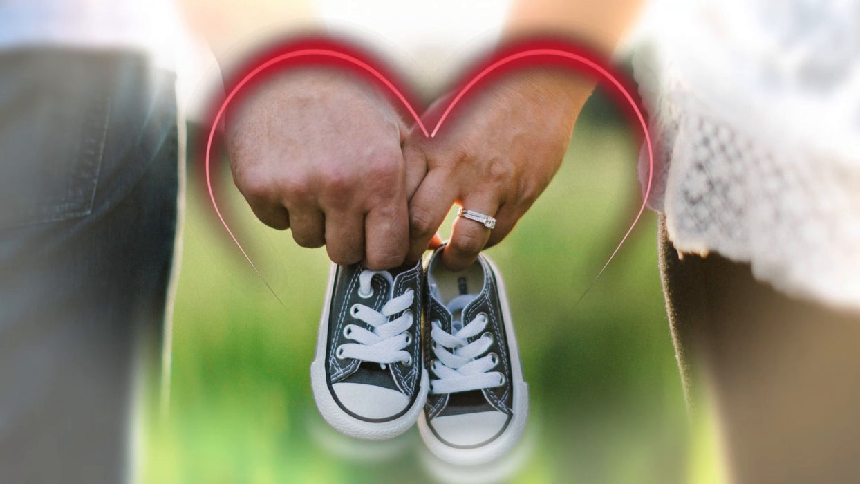 Clean Lines Styles and Transitions for Photopia