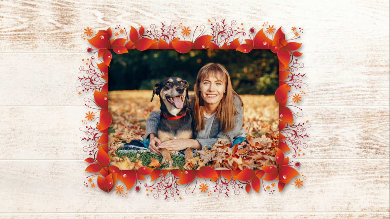 Colorful Leaves Frames Styles for Photopia