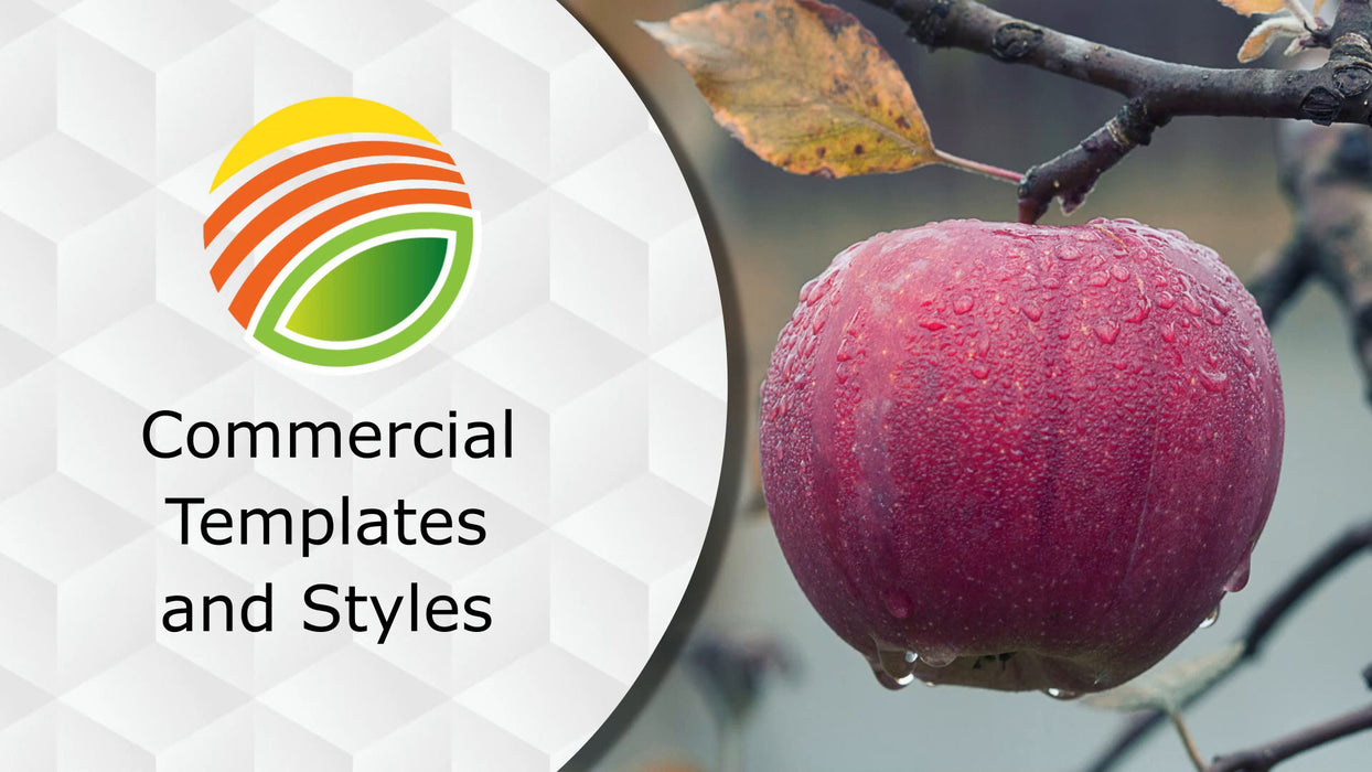 Commercial Template and Styles for Photopia