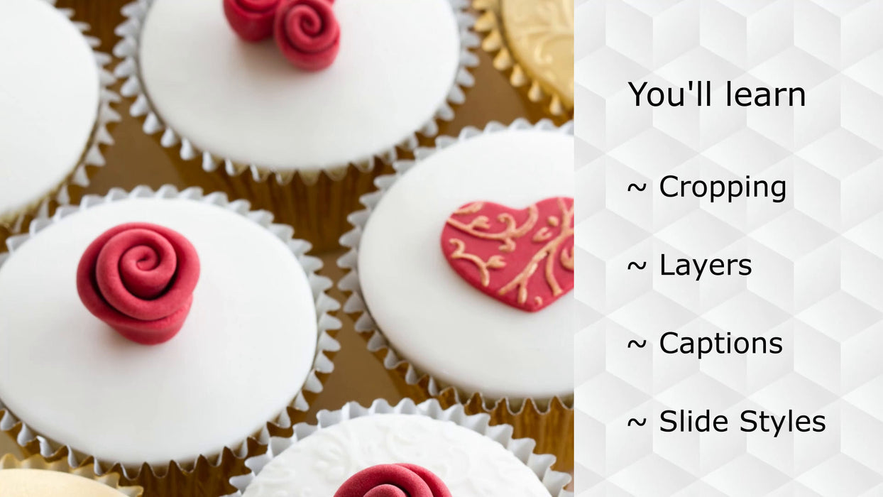 Commercial Template and Styles for Photopia