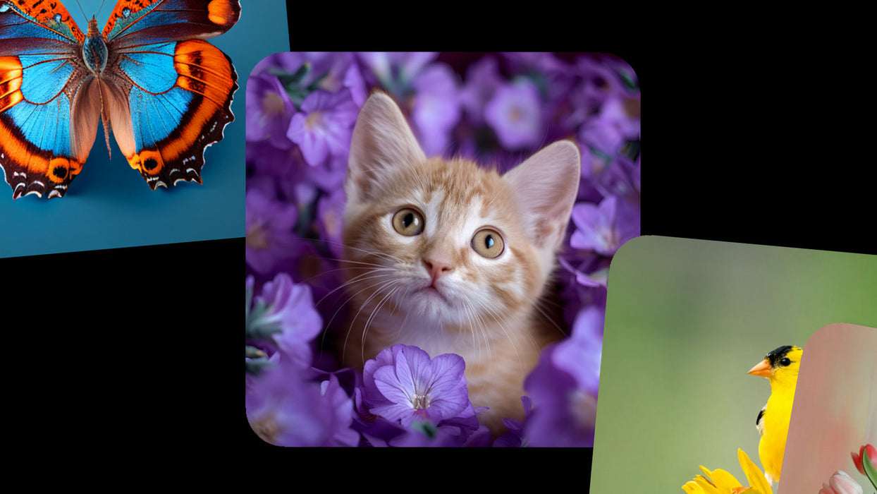 Stacked Template and Effects for Photopia