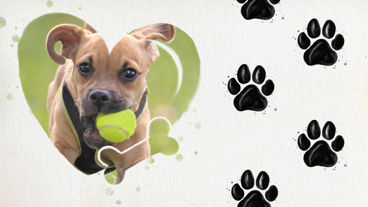 Doggy Paws Slide Style for Photopia