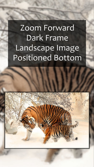 Essential Single Slide Style for Photopia