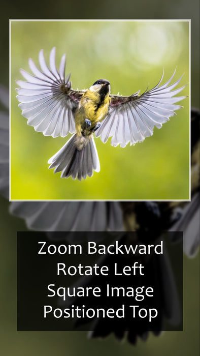 Essential Single Slide Style for Photopia