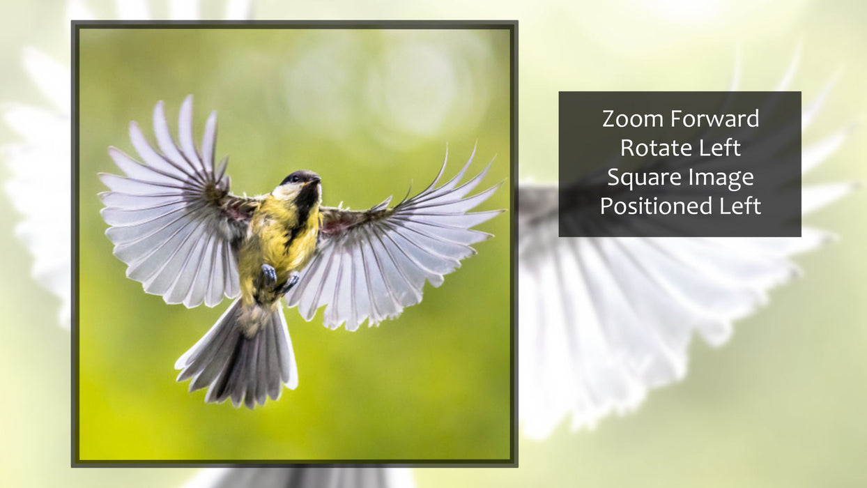 Essential Single Slide Style for Photopia