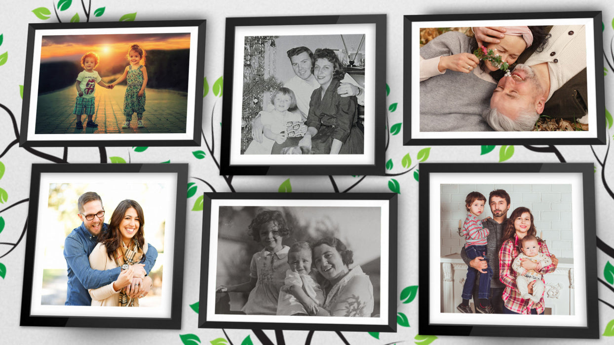 Family Tree Style Pack for Photopia