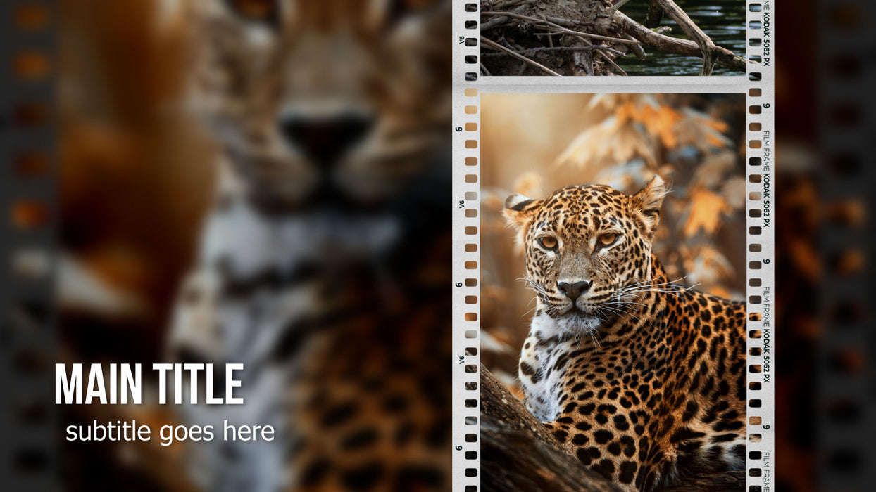 Film Frame Template, Styles, and Transitions for Photopia