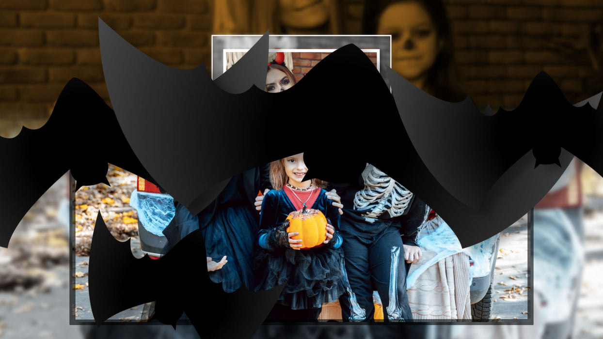 Flying Bats Transition for Photopia