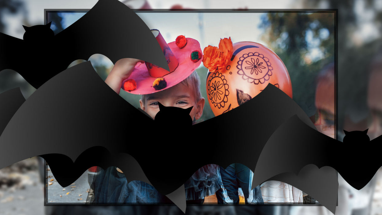 Flying Bats Transition for Photopia