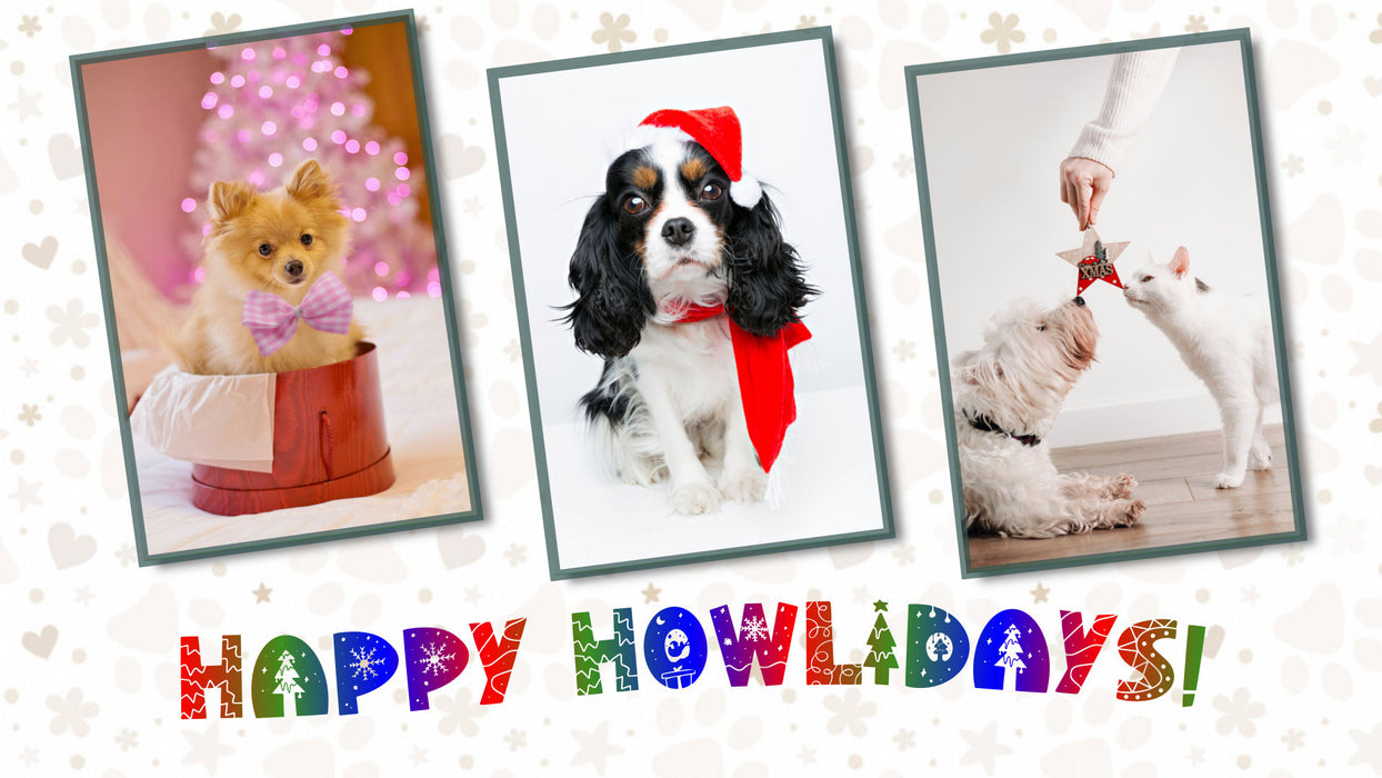 Christmas Theme Pack for Photopia