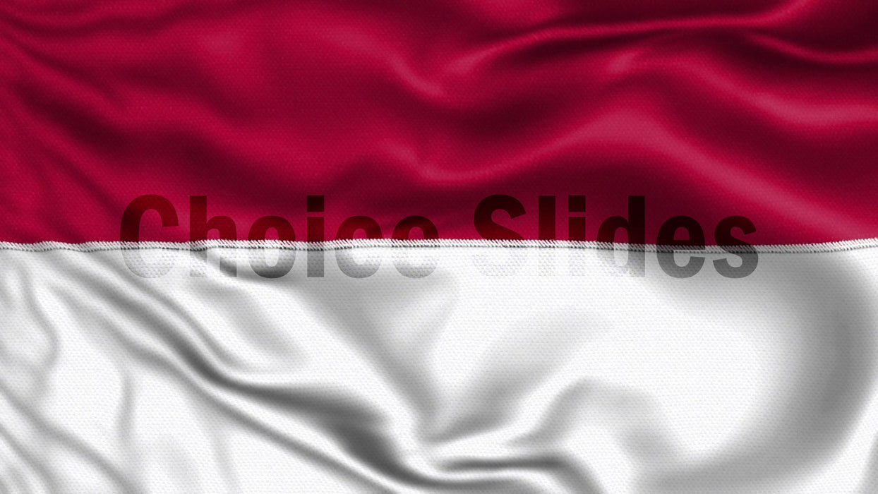 Indonesia Flag Looping Video Background
