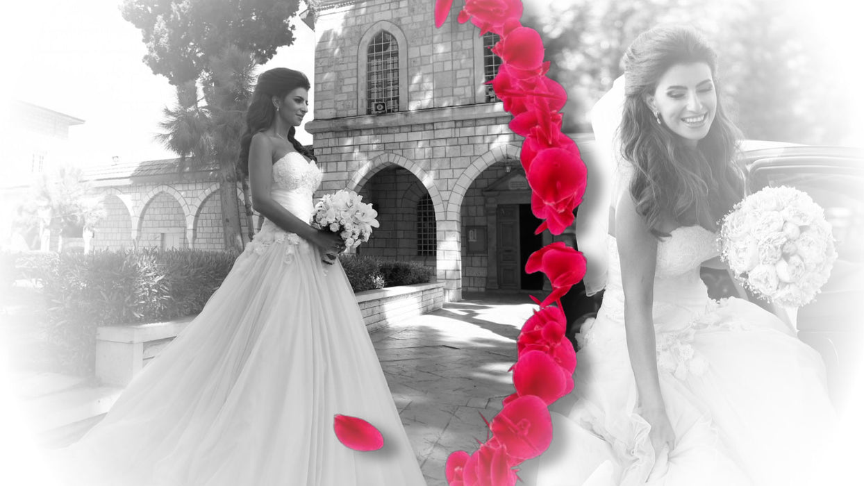 KISS Wedding Template, Styles, and Transitions for Photopia