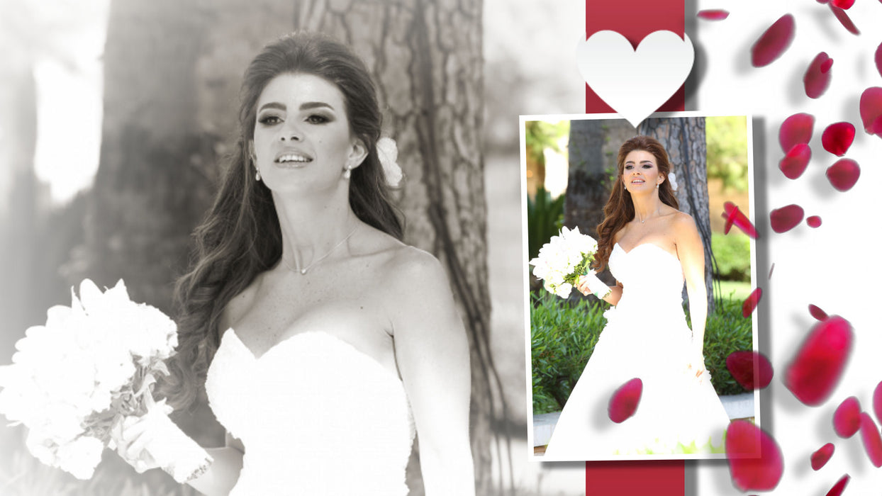 KISS Wedding Template, Styles, and Transitions for Photopia