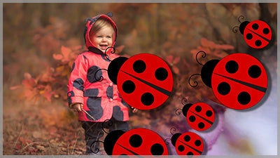 Ladybug Transitions for Photopia