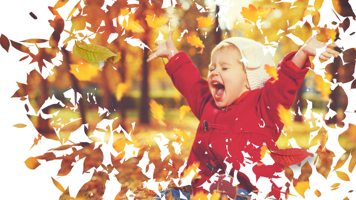 Animated Leaf Masks for Photopia