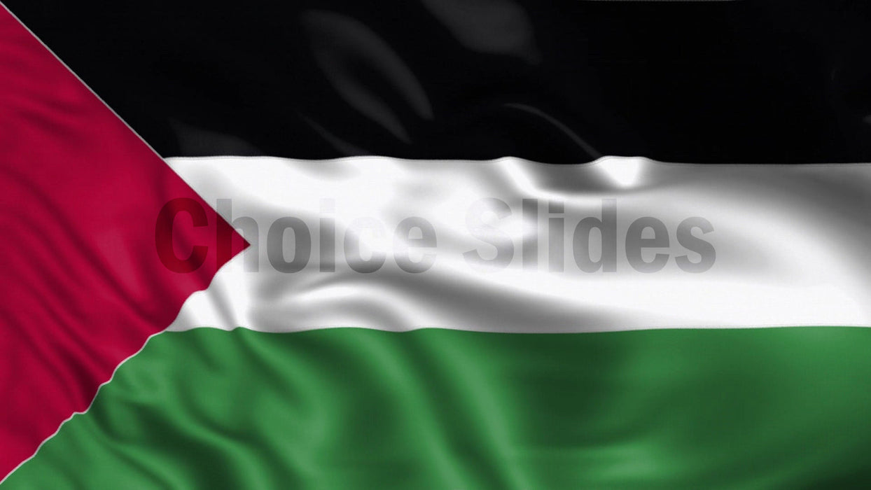 Palestine Flag Looping Video Background