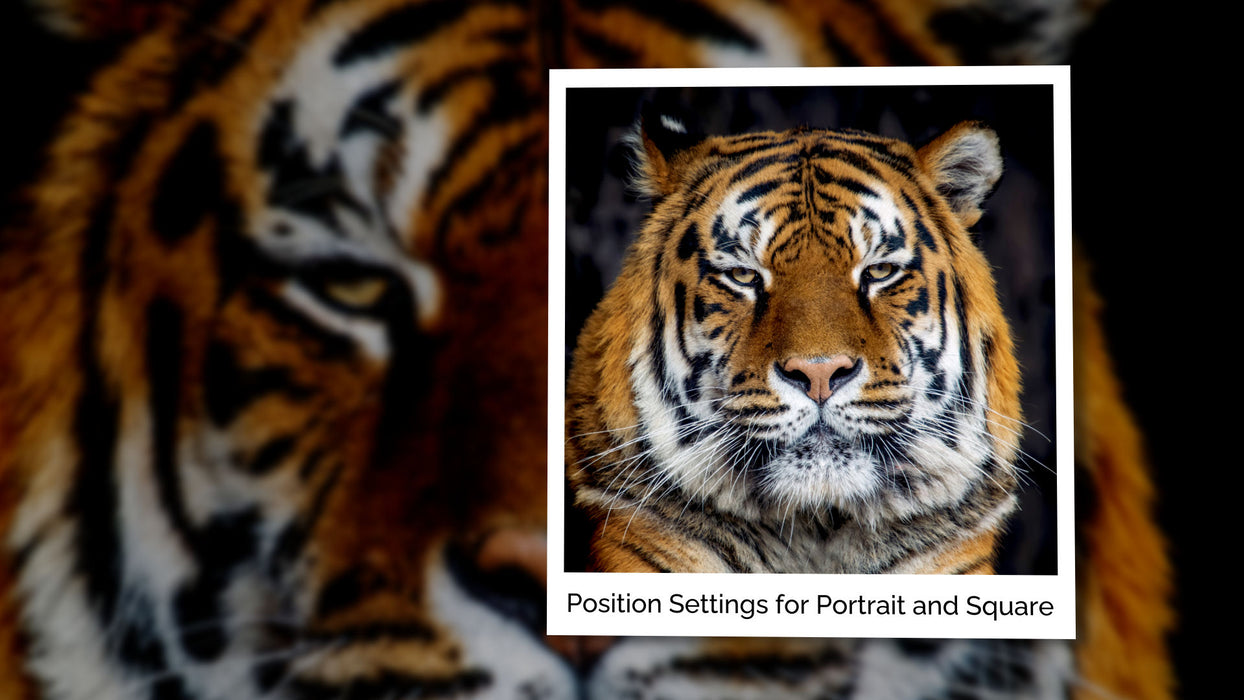 Photo Edge Caption Slide Style for Photopia