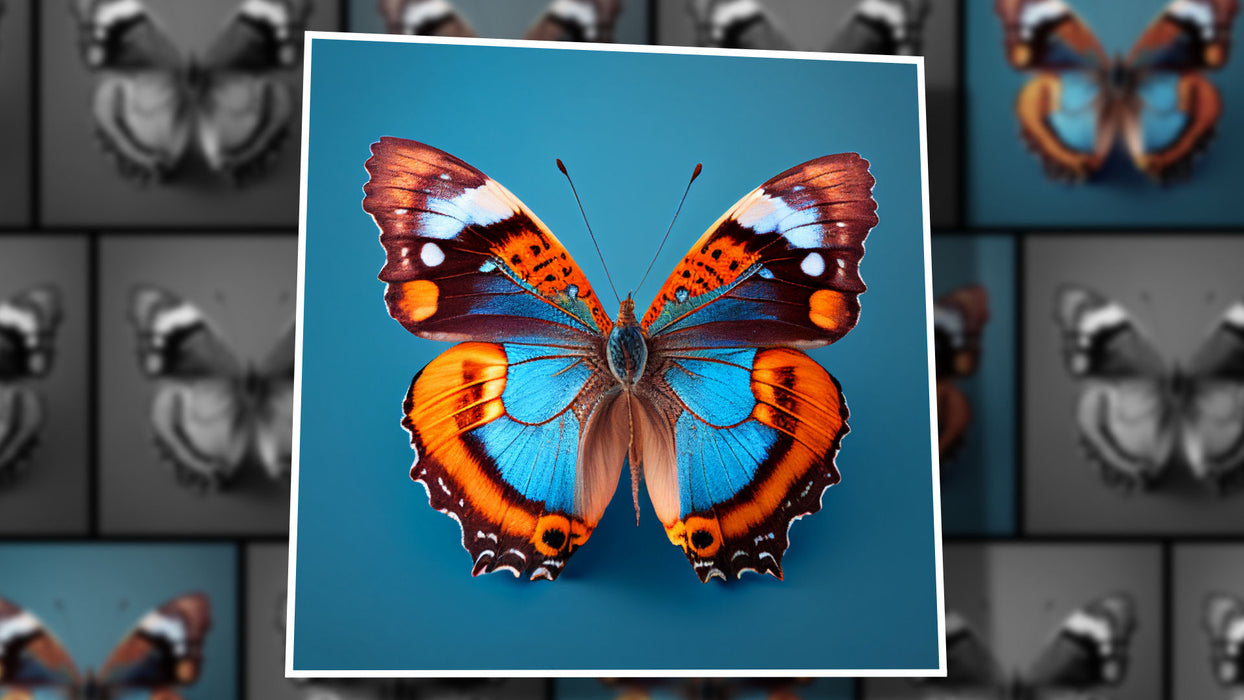 Replicated Slide Style for Photopia