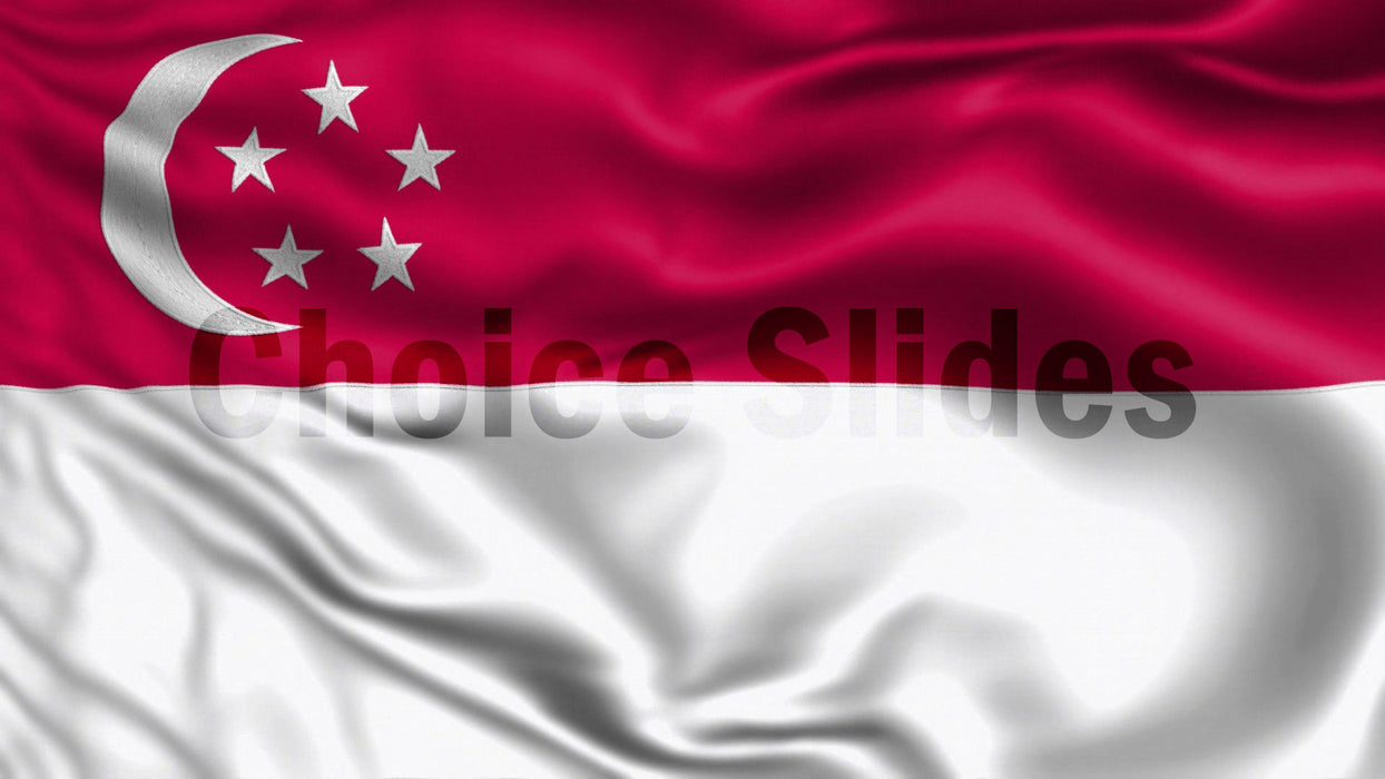 Singapore Flag Looping Video Background