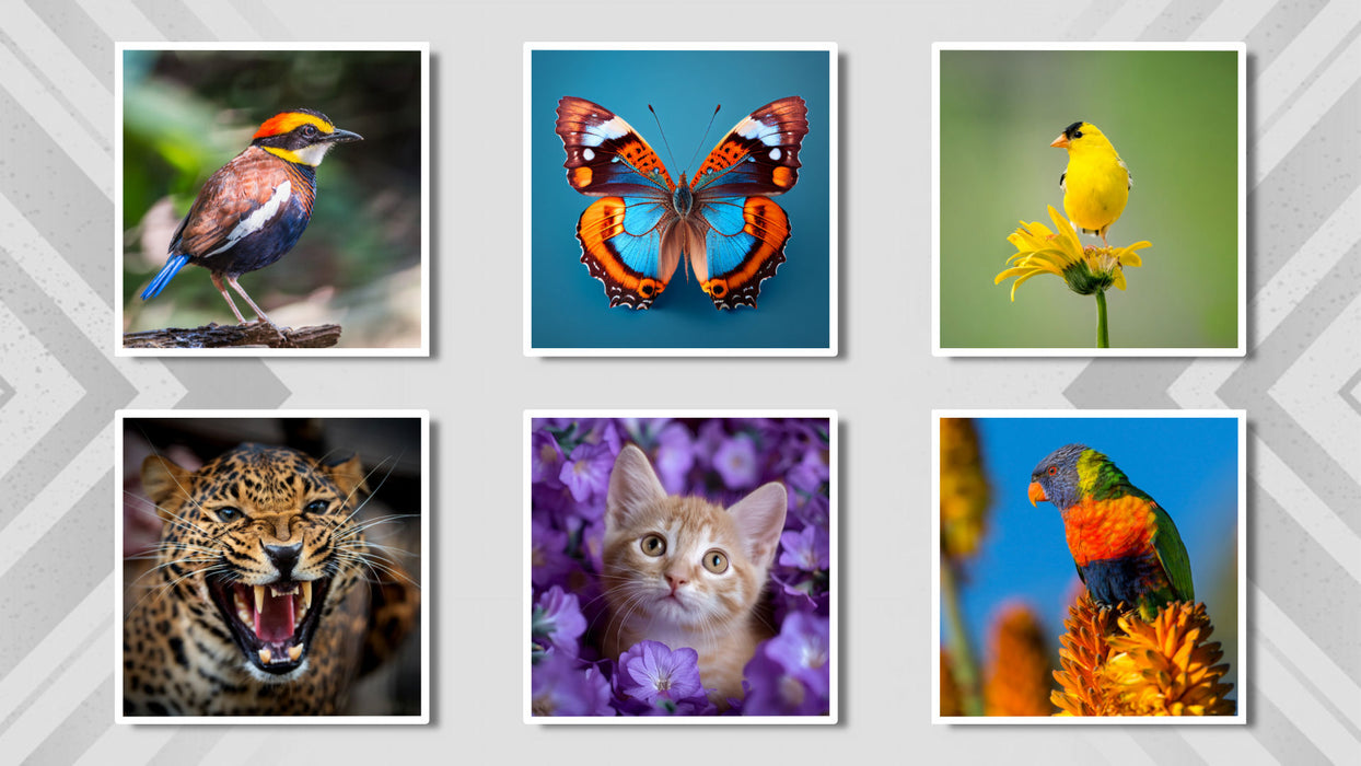 Six Image Alternate Slide Style for Photopia